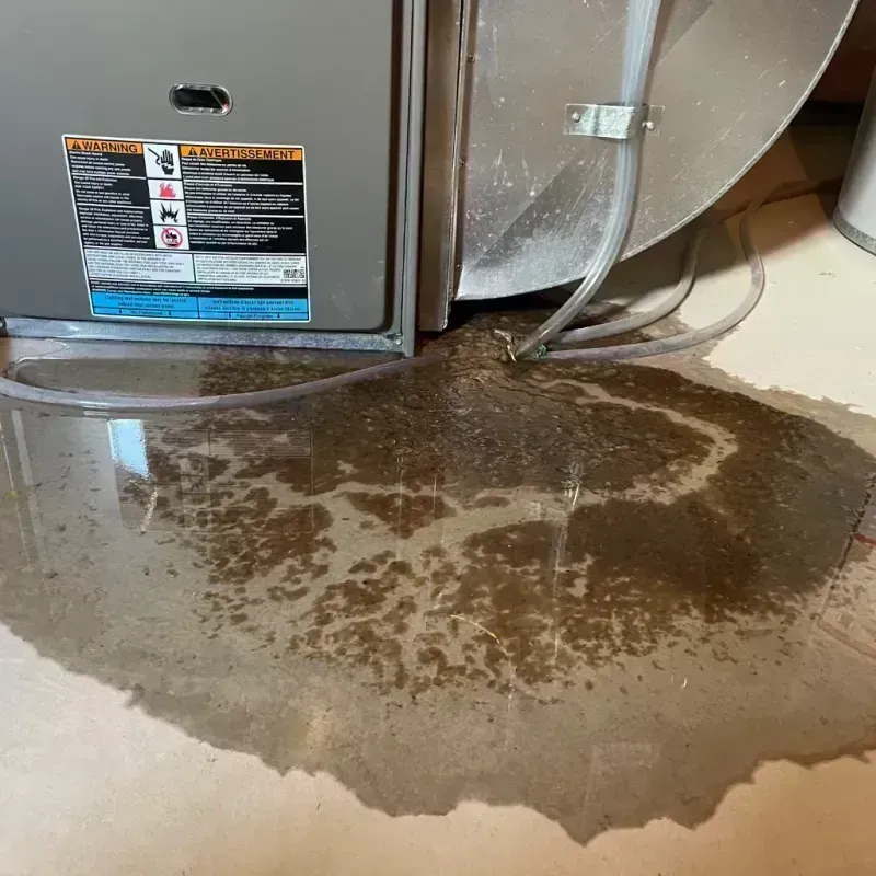 Appliance Leak Cleanup in Goochland, VA